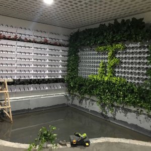 產品欣賞